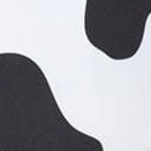Black & White Cow Print Two Piece Swimsuit