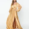 Gold Satin Long Sleeve Goddess Gown