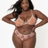 Plus Size Light Blue & Peach Sheer Lace Cheeky Underwear