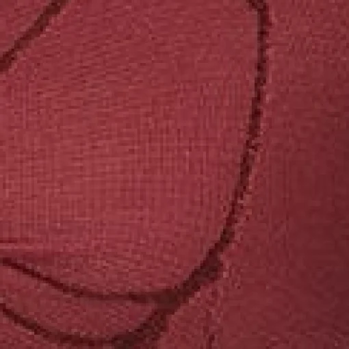 Smak Parlour 1970s Burgundy & Velvet Spiderweb Cape Maxi Dress