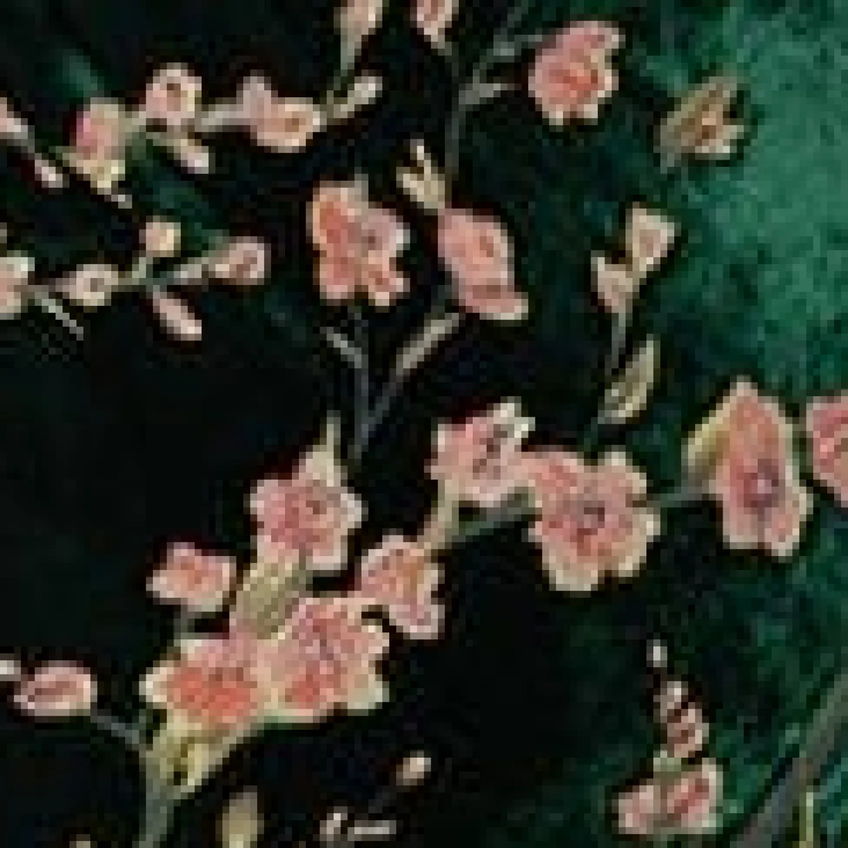 Unique Vintage Plus Size 1920s Emerald Velvet Floral Burnout Hemingway Flapper Dress