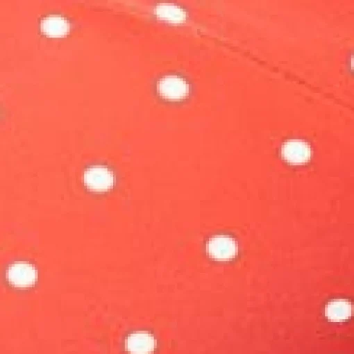 Unique Vintage Red & White Pin Dot Marlene Crop Swim Top